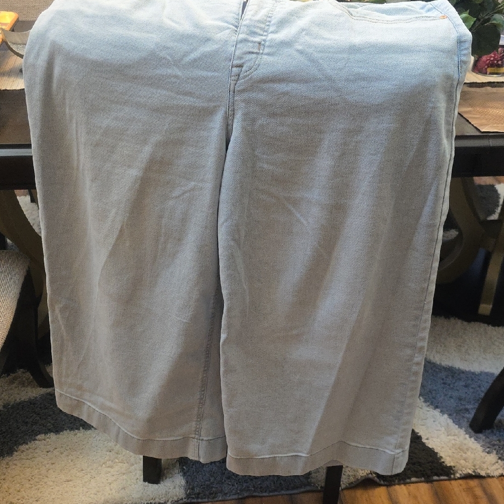 Lane Bryant Soft Denim Jeans